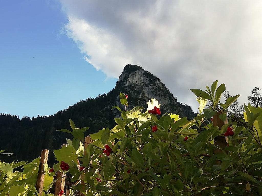 'Sissi' Ein Zaubehaftes Apartement Im Modernen Landhausstil Oberammergau Kültér fotó